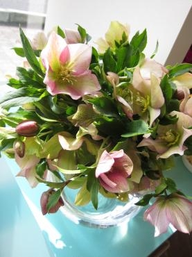 今週のおすすめ♪｜「吉田フローリスト」　（新潟県新潟市中央区の花キューピット加盟店 花屋）のブログ