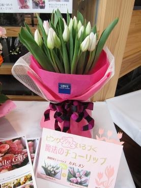 愛妻の日♪｜「吉田フローリスト」　（新潟県新潟市中央区の花キューピット加盟店 花屋）のブログ